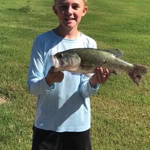 Meet your Posher, Austin